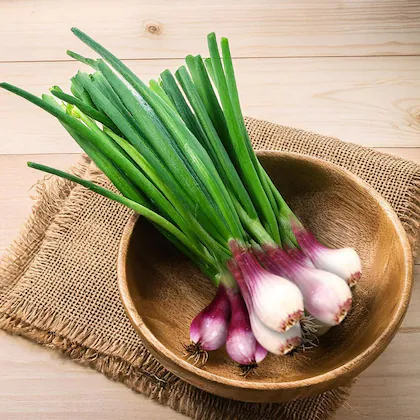 Spring Onion - 100g